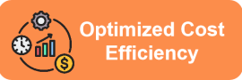 Optimized Cost Efficiency
