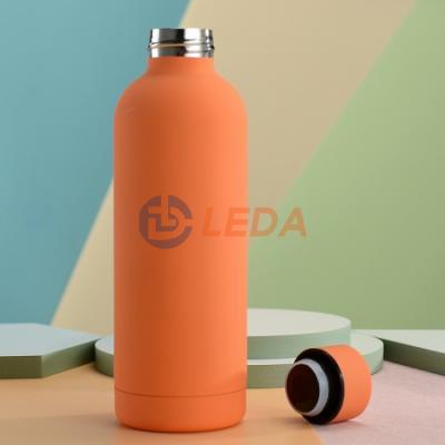 Sports bottle